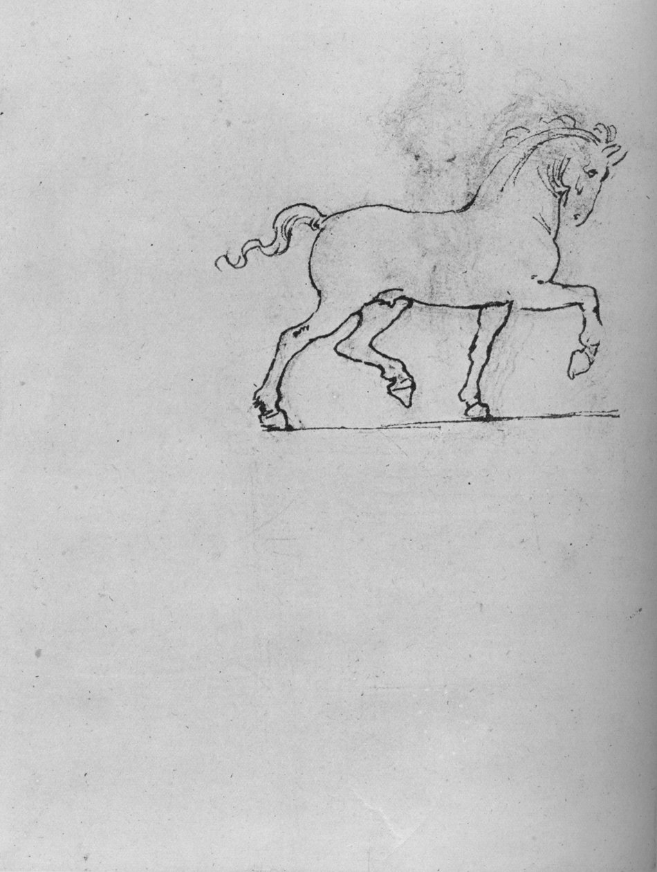 Study of a Horse, c1480 1945 af Leonardo da Vinci
