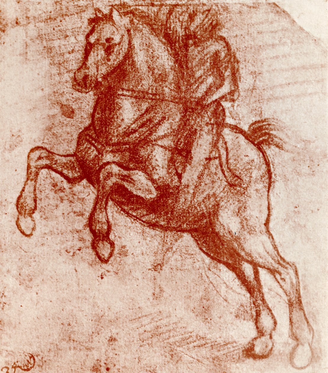 Study of a Knight, af Leonardo De Vinci, 1913 af Leonardo da Vinci