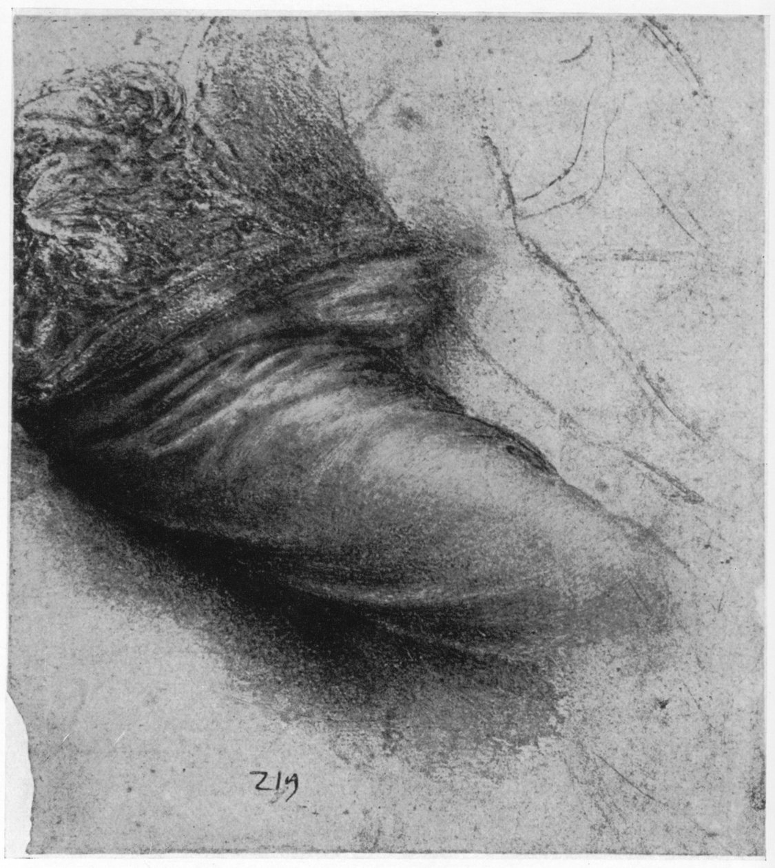 Studie af en beklædningsgenstand for St Anne, 1503-1517 1954 af Leonardo da Vinci