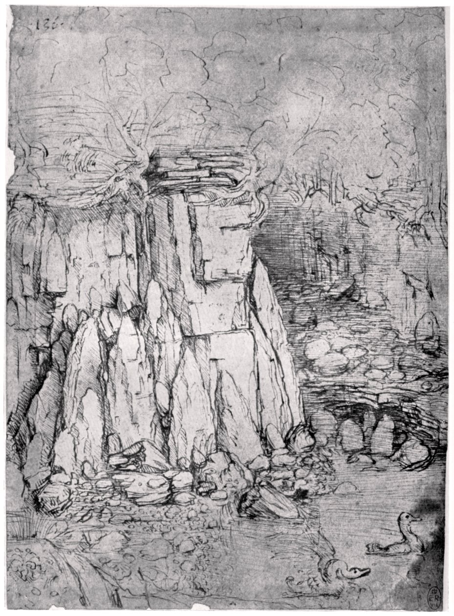 Studie af en klippehule med ænder, 1482-1485 1954 af Leonardo da Vinci