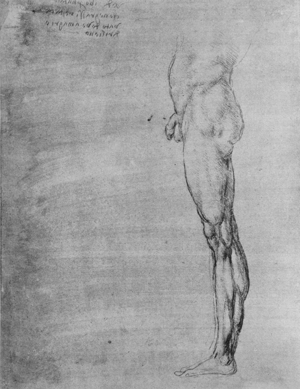 Studie af en mands krop og ben, c1480 1945 af Leonardo da Vinci