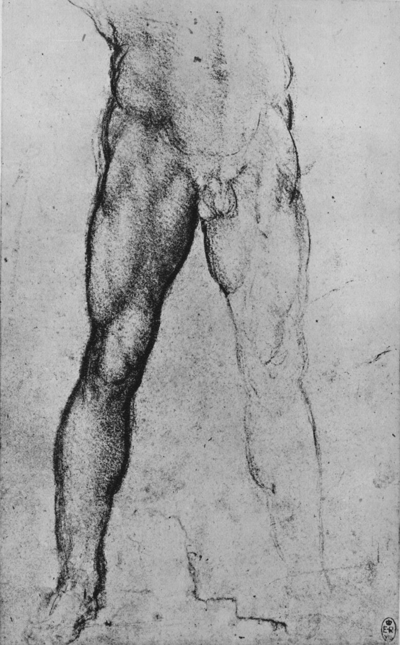 Studie af den nederste halvdel af en nøgen mand vendt mod fronten, c1480 1945 af Leonardo da Vinci