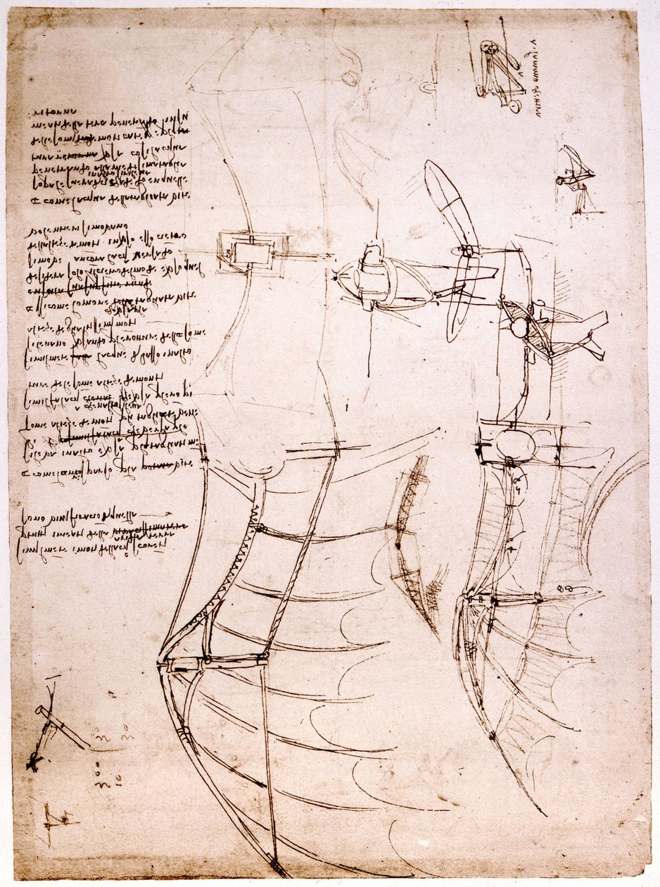 Studer på vinger. Codex Atlantic. Atlantic Codex, tegning af Leonard de Vinci (Leonardo da Vinci) omkring 1499. af Leonardo da Vinci