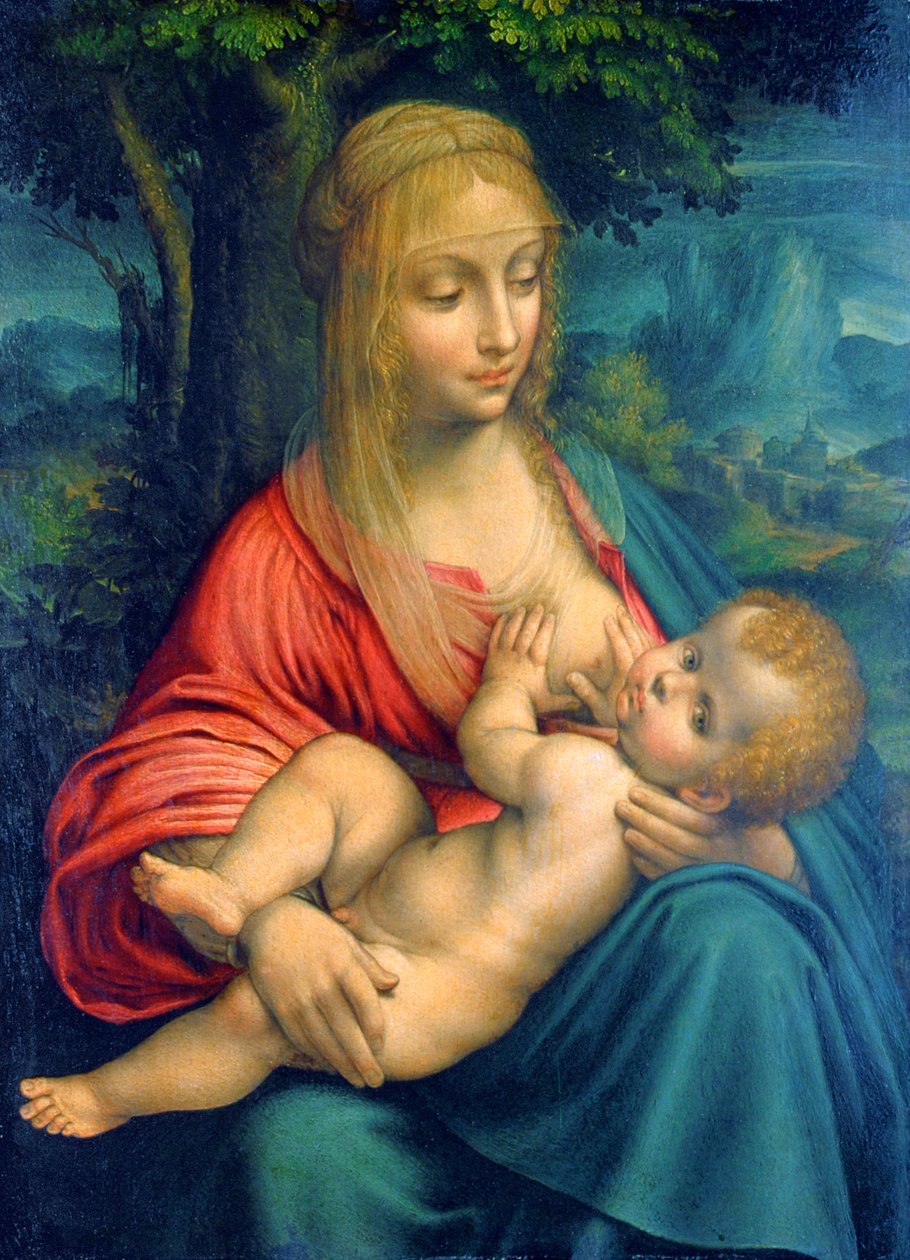 Jomfruen og barnet, c1511 af Leonardo da Vinci