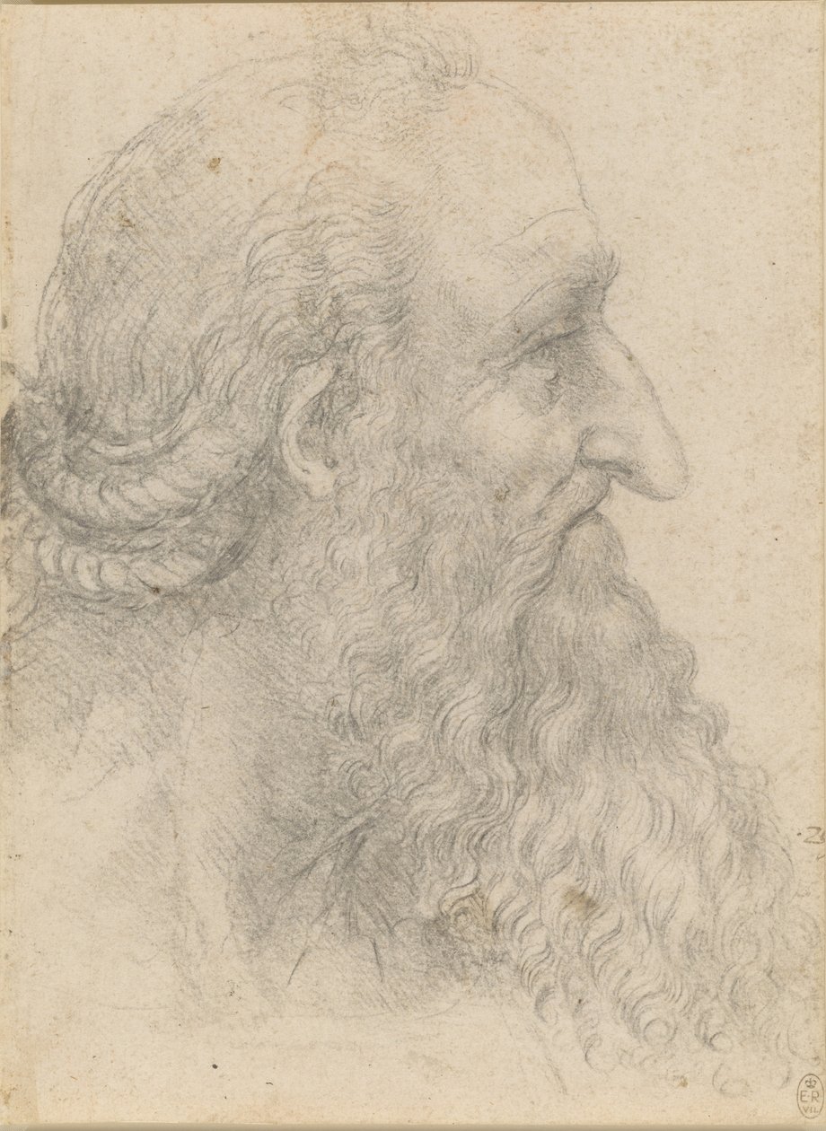 Hovedet af en gammel skægget mand, ca 1517. af Leonardo da Vinci