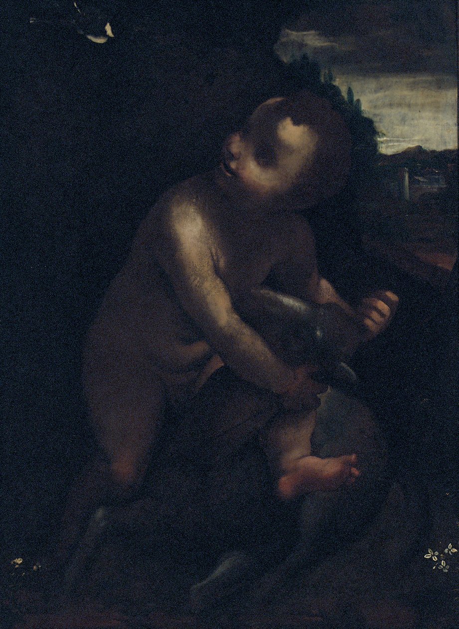 Det spæde Johannes Døberen af Leonardo da Vinci