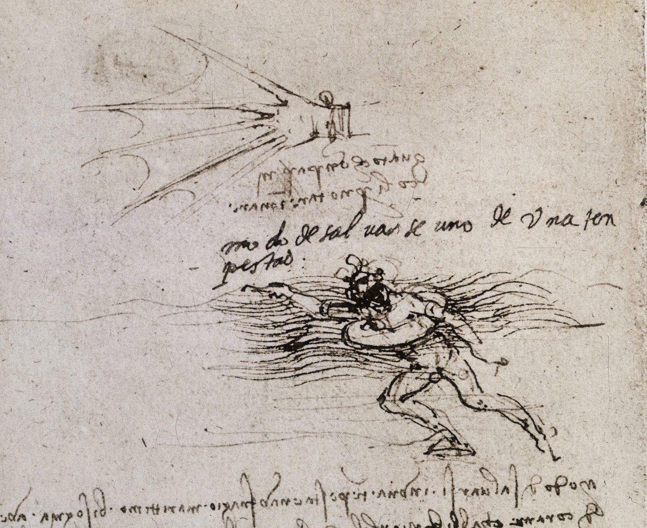 Palmen og bøjen, Codex Atlantic af Leonardo da Vinci