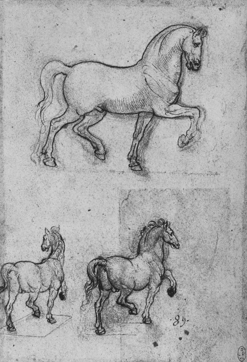 Tre studier af heste, c1480 1945 af Leonardo da Vinci