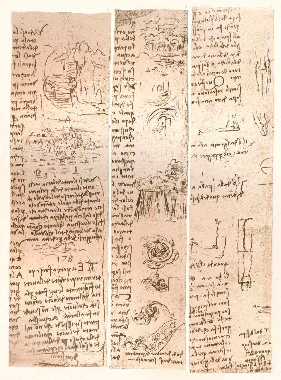 Tre tegninger, c1472-c1519 1883 af Leonardo da Vinci