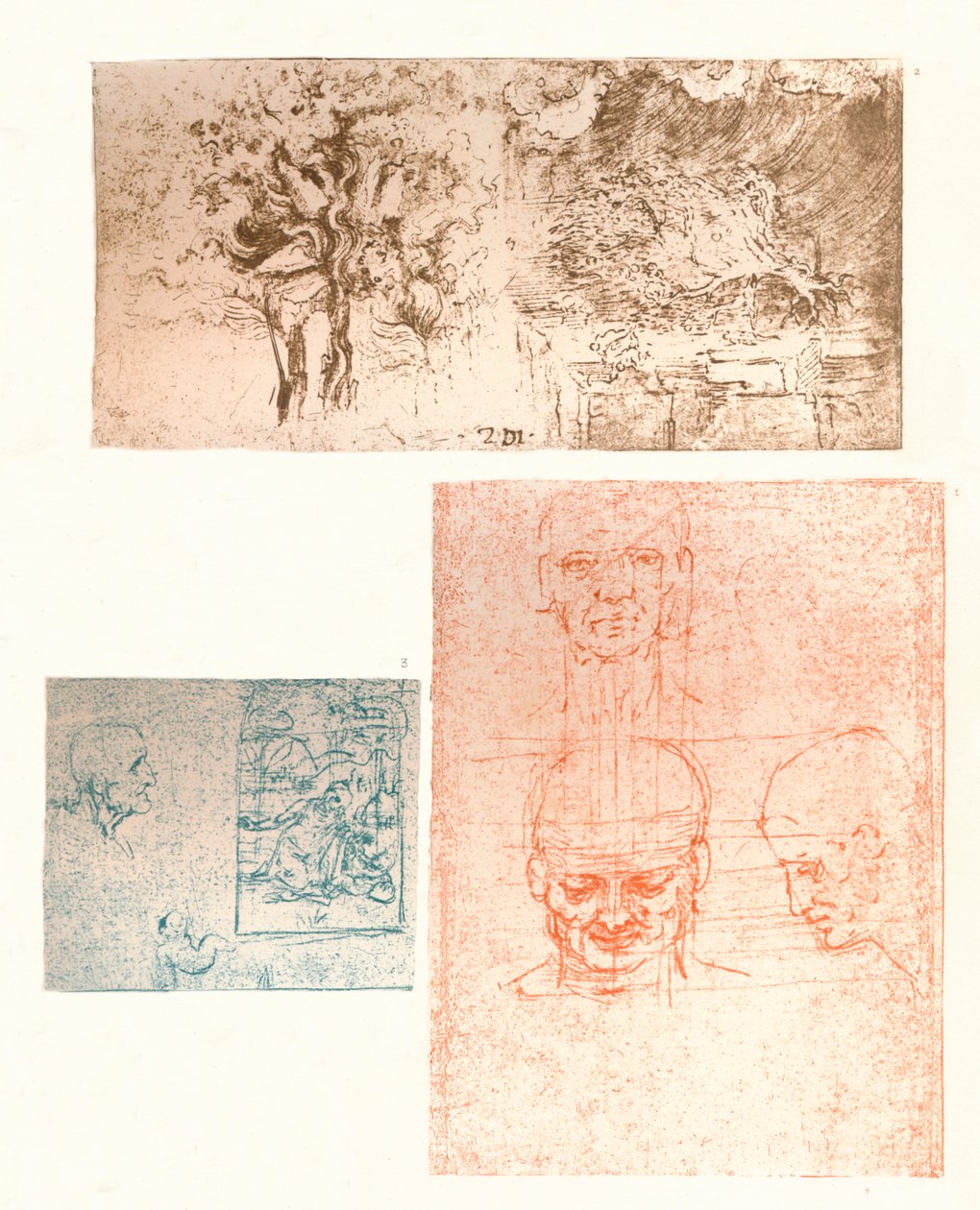 Tre tegninger, c1472-c1519 1883 af Leonardo da Vinci