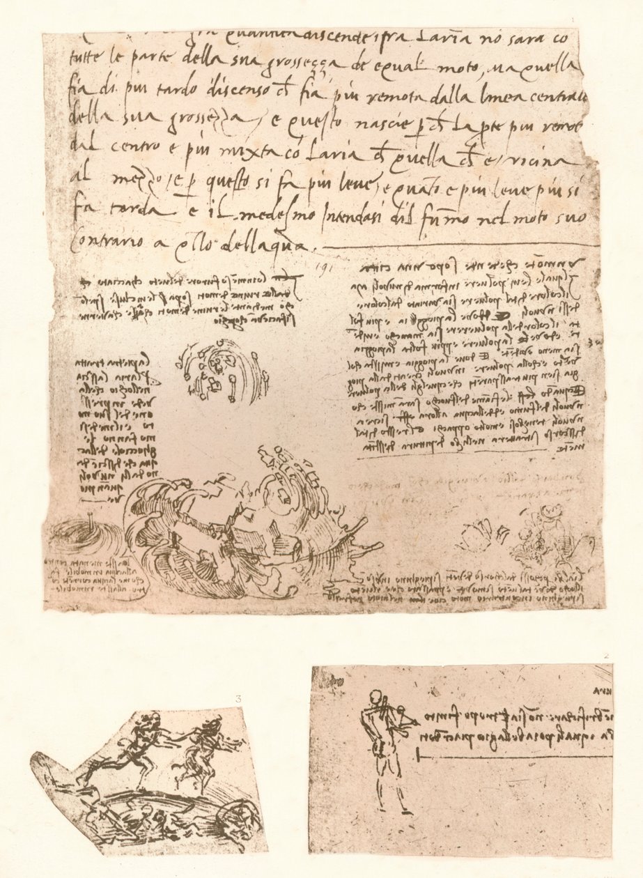 Tre tegninger, c1472-c1519 1883 af Leonardo da Vinci