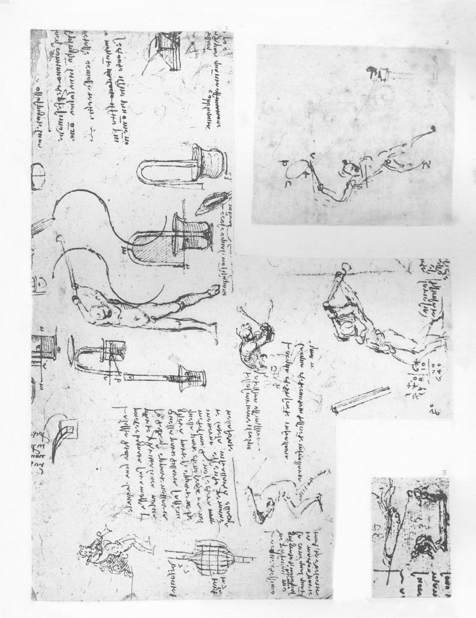 Tre tegninger, der illustrerer teorien om den menneskelige figurs bevægelser, c1472-c1519 1883 af Leonardo da Vinci