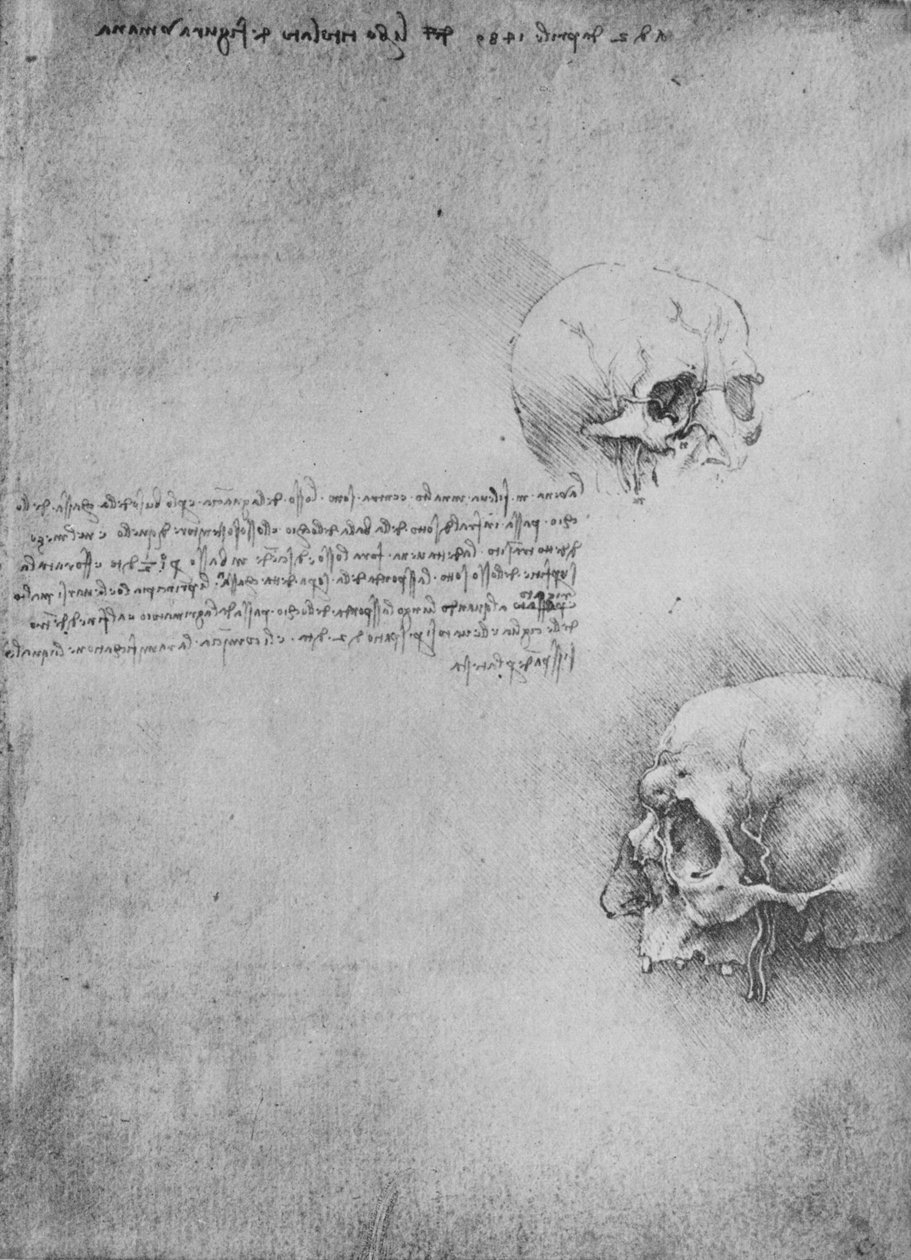 To tegninger af hovedets knoglestruktur, c1480 1945 af Leonardo da Vinci