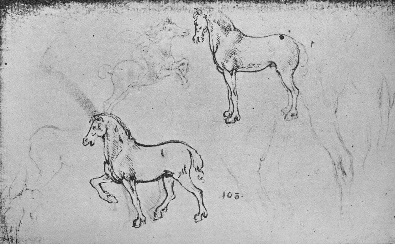 To studier af heste, en af en galoperende rytter og andre af hesteben, c1480 1945 af Leonardo da Vinci