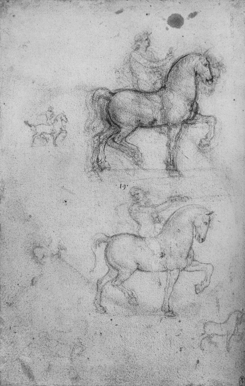 To studier af heste og ryttere og mindre studier af heste, c1480 1945 af Leonardo da Vinci