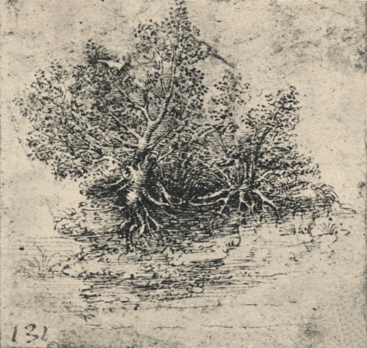 To træer på bredden af en å, c1480 1945 af Leonardo da Vinci