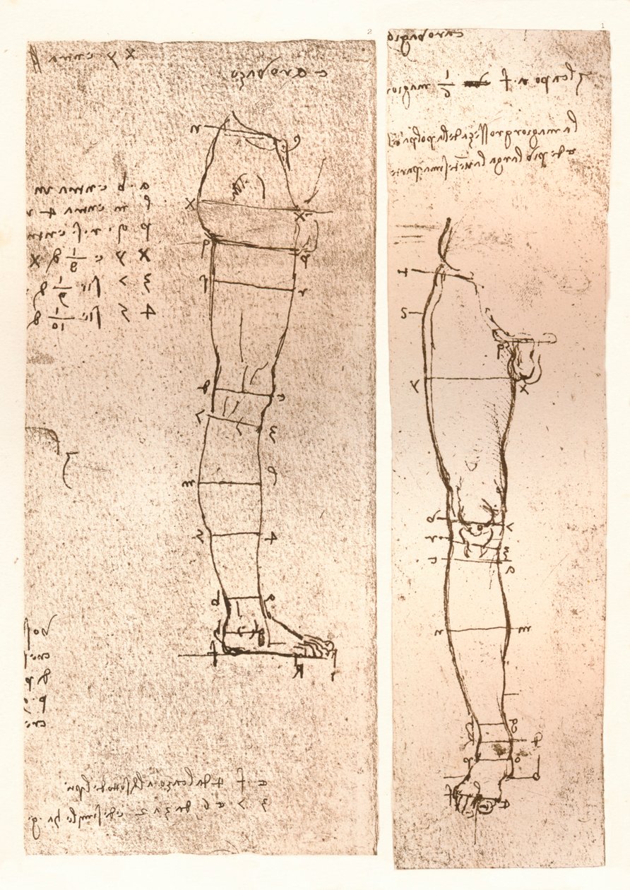 To tegninger, der illustrerer teorien om proportionerne af den menneskelige figur, c1472-c1519 1883 af Leonardo da Vinci