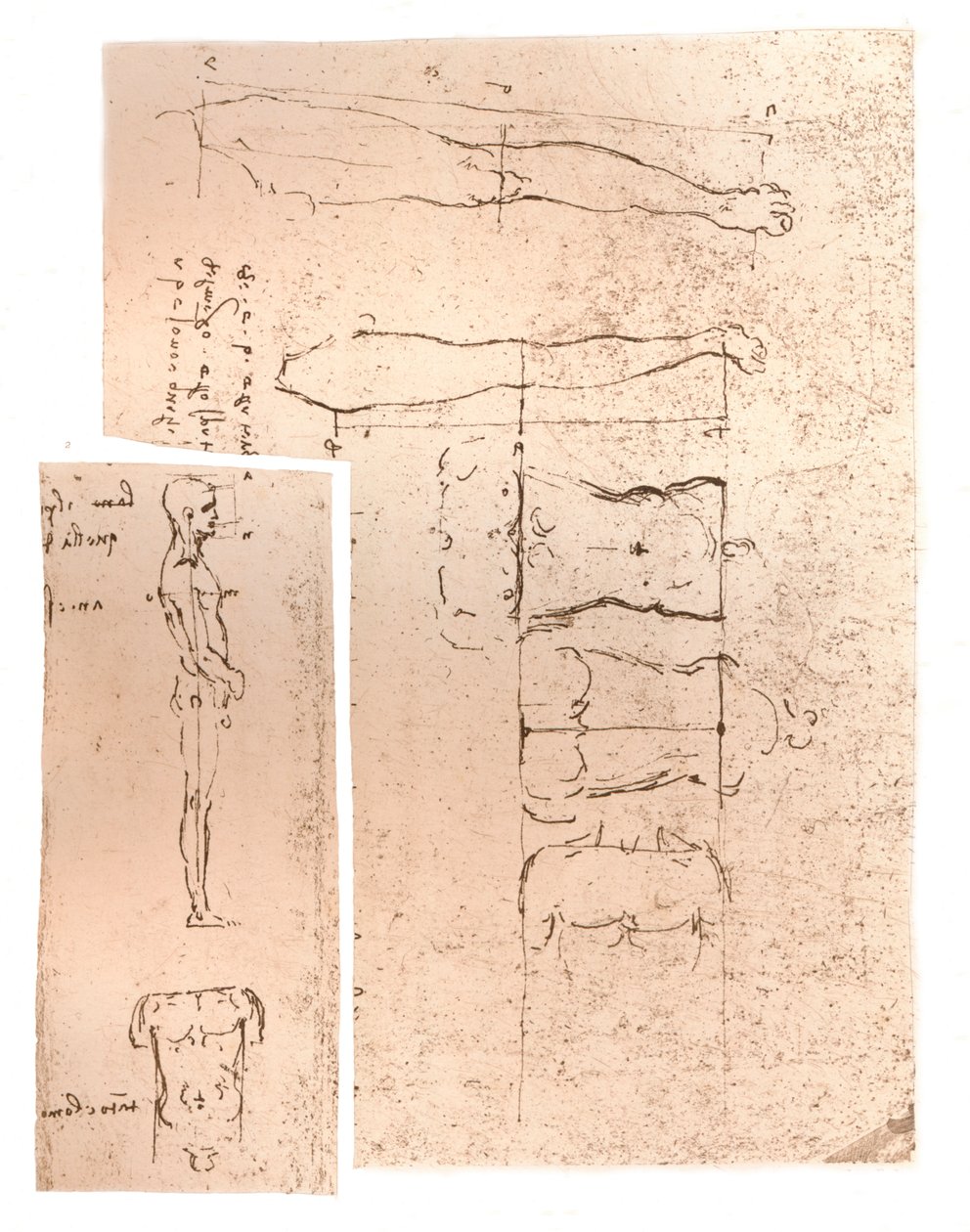 To tegninger, der illustrerer teorien om proportionerne af den menneskelige figur, c1472-c1519 1883 af Leonardo da Vinci