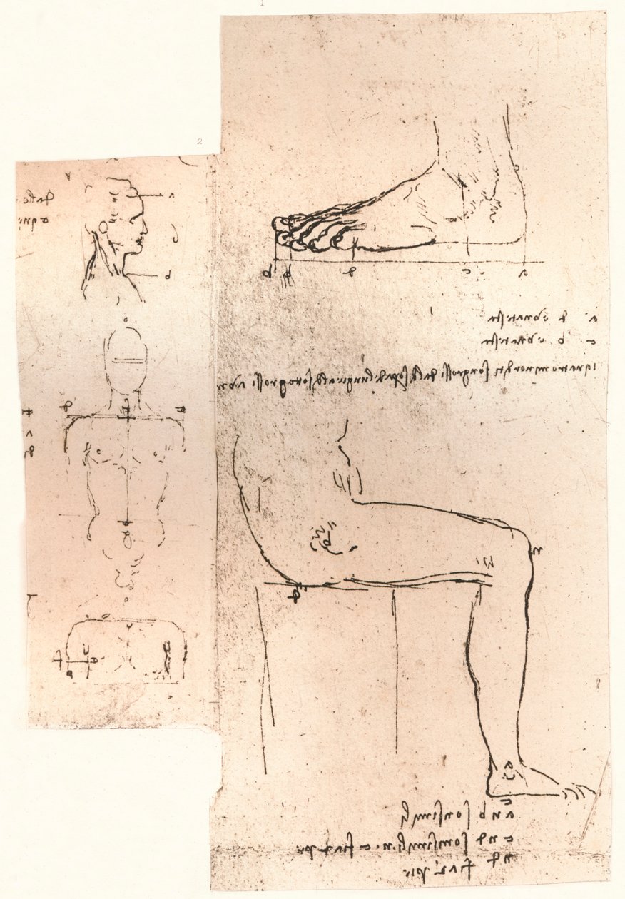 To tegninger, der illustrerer teorien om proportionerne af den menneskelige figur, c1472-c1519 1883 af Leonardo da Vinci