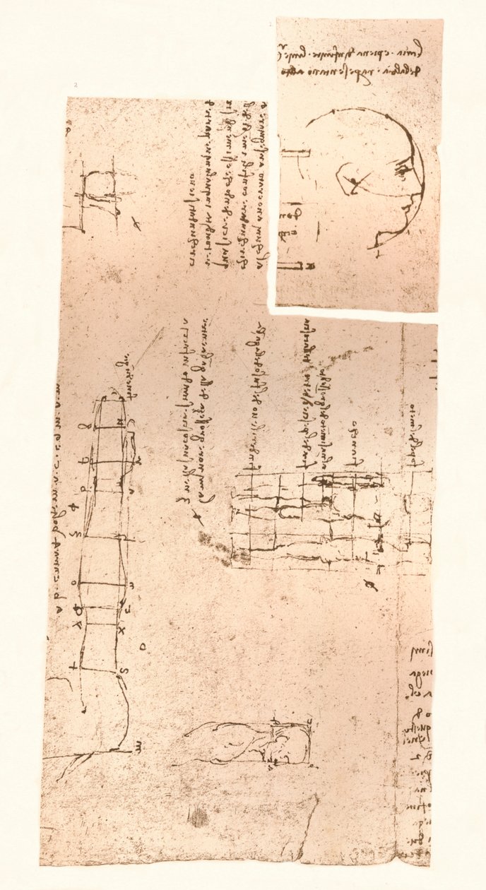 To tegninger, der illustrerer teorien om proportionerne af den menneskelige figur, c1472-c1519 1883 af Leonardo da Vinci
