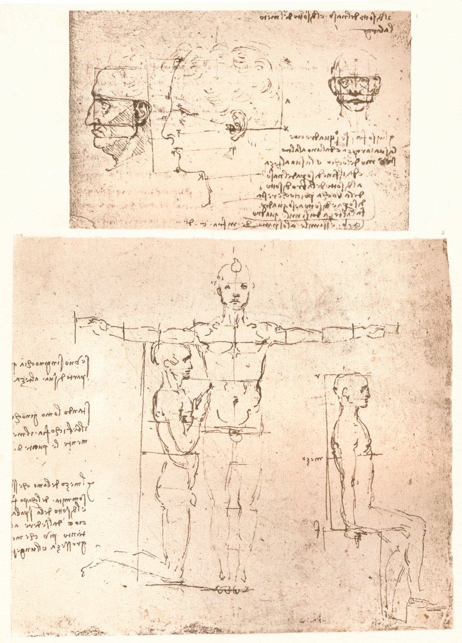 To tegninger, der illustrerer teorien om proportionerne af den menneskelige figur, c1472-c1519 1883. af Leonardo da Vinci