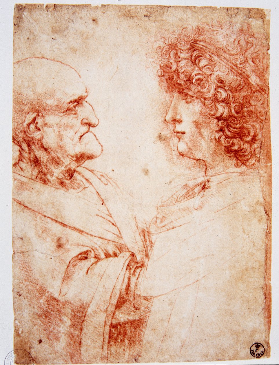 To mandsprofiler, en gammel mand og en ung mand. Den unge mand repræsenterer Gian Giacomo Caprotti, kendt som Andrea Salai eller Salaij (cirka 1480-1524), Leonards elev og elsker. Tegning a la sanguine af Leonardo da Vinci (Leonard de Vinci) (1452-1519) Fi af Leonardo da Vinci