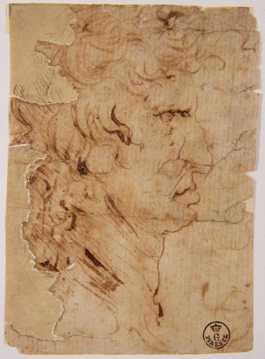 Ukendt billede af Leonardo da Vinci