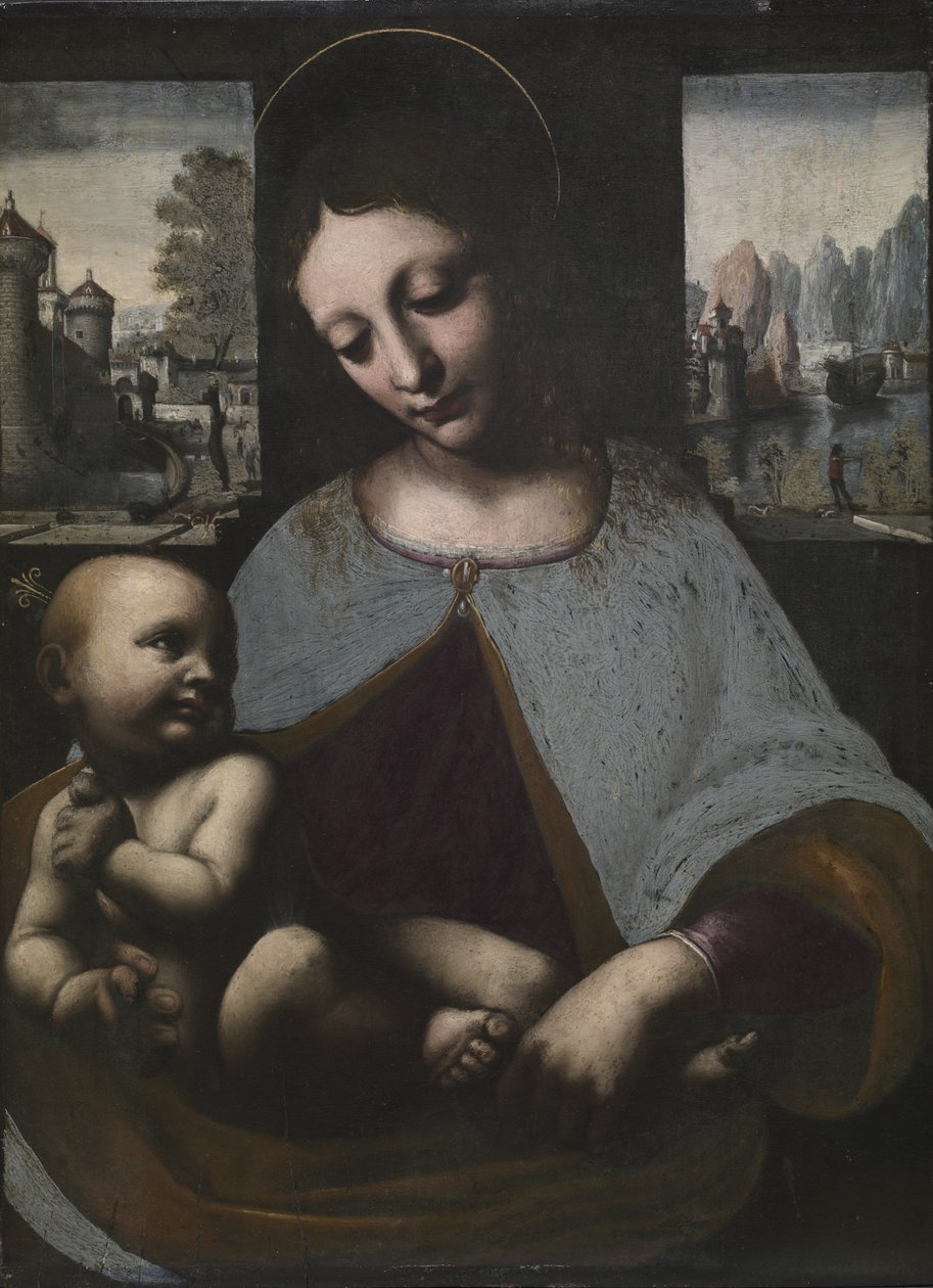 Jomfruen med barnet af Leonardo da Vinci