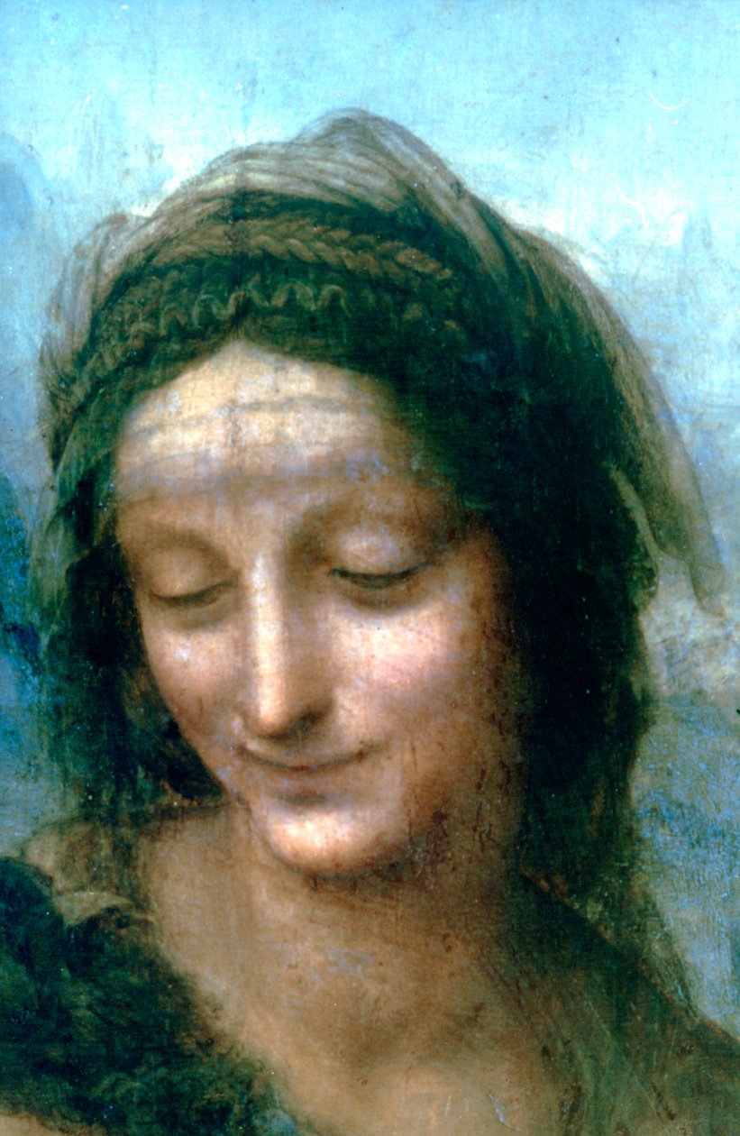 Jomfru og barn med St Anne detalje, 1502-1516 af Leonardo da Vinci