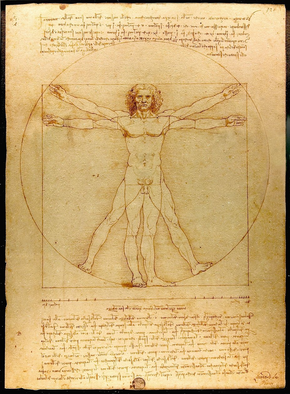 Vitruviansk mand af Leonardo da Vinci
