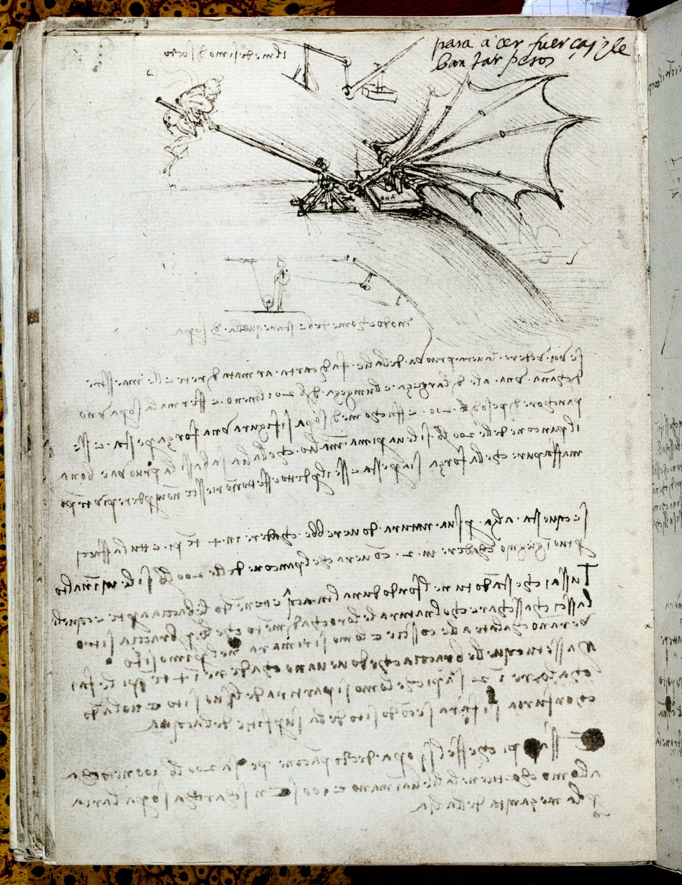 Vingetræning. Flyvende maskine tegning. Manuskript af Leonard De Vinci (Leonardo da Vinci af Leonardo da Vinci