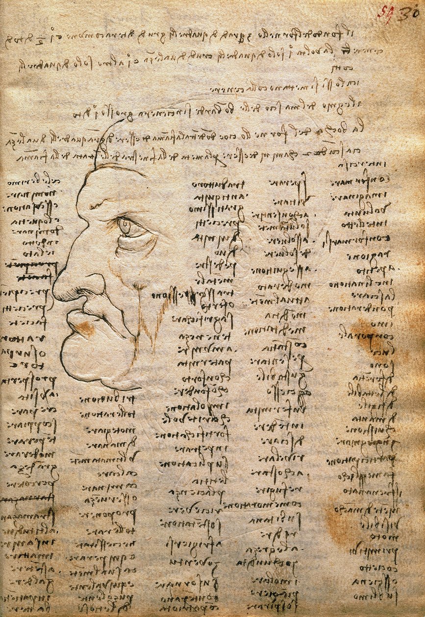 Ordliste og mandsprofil, fra Codex Trivulzianus af Leonardo da Vinci