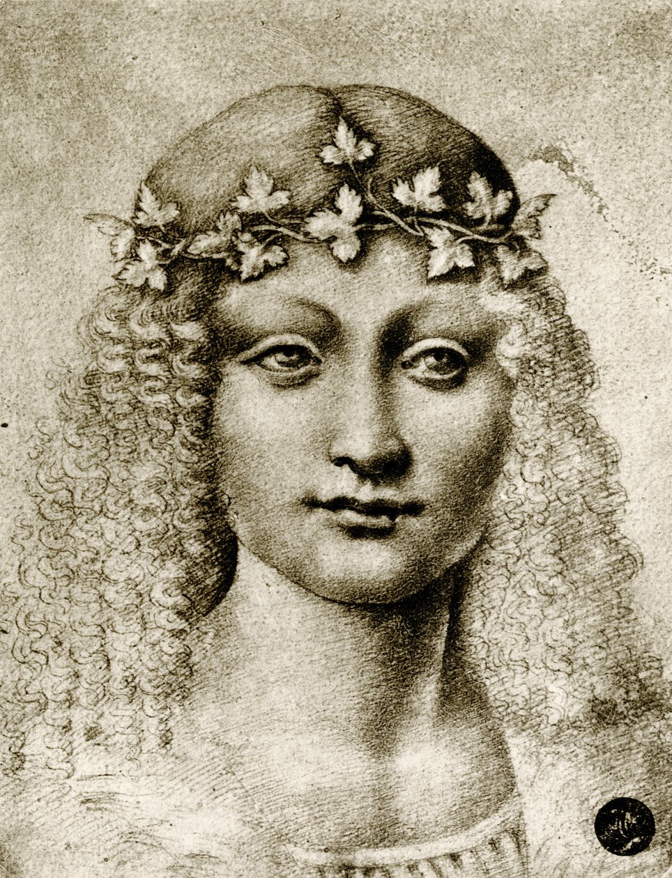Pigehoved omkranset af vinranke af Leonardo da school of Vinci
