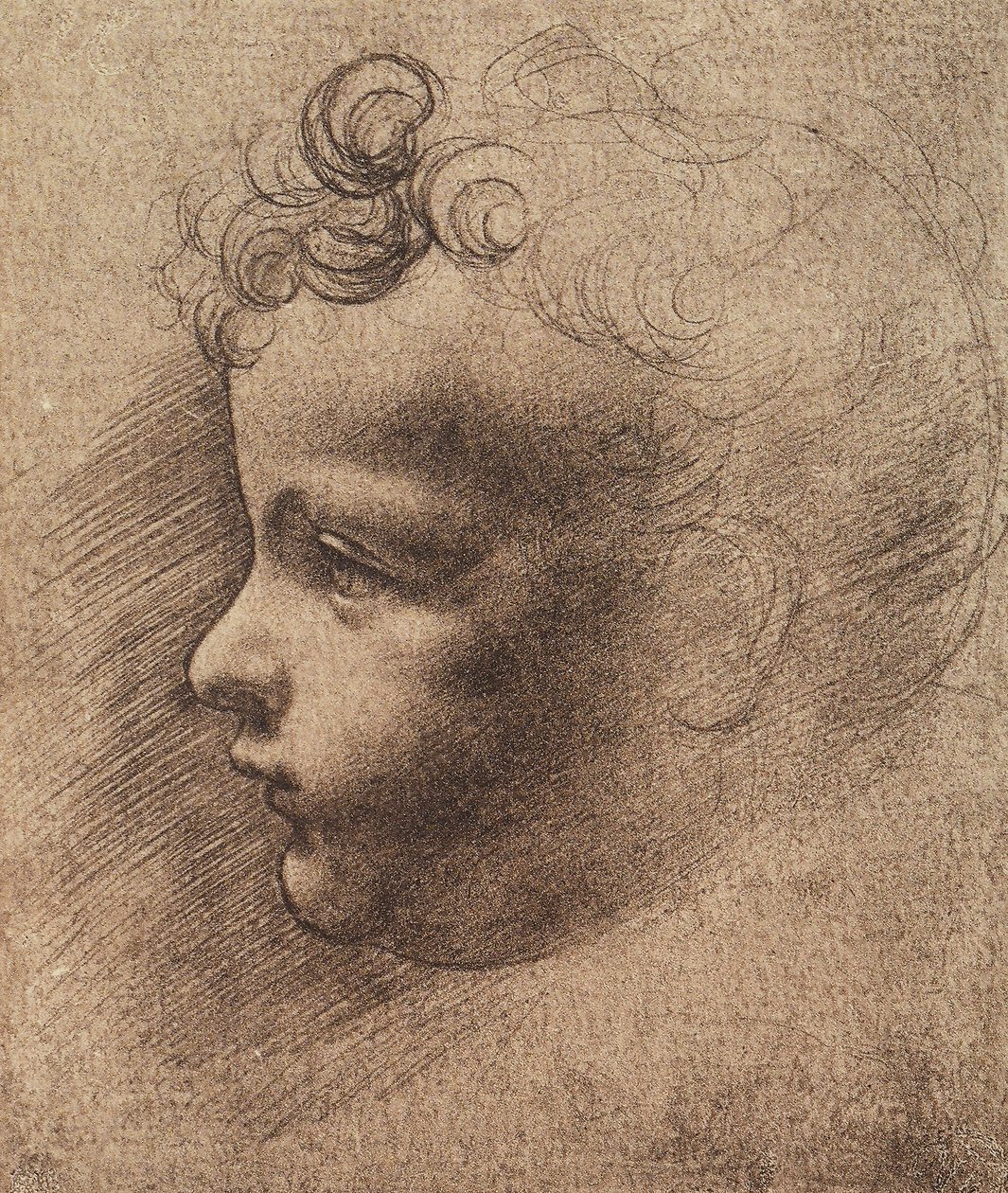 Hovedet af en lille dreng; tegning af Leonardo da Vinci. Louvre, Paris af Leonardo da school of Vinci