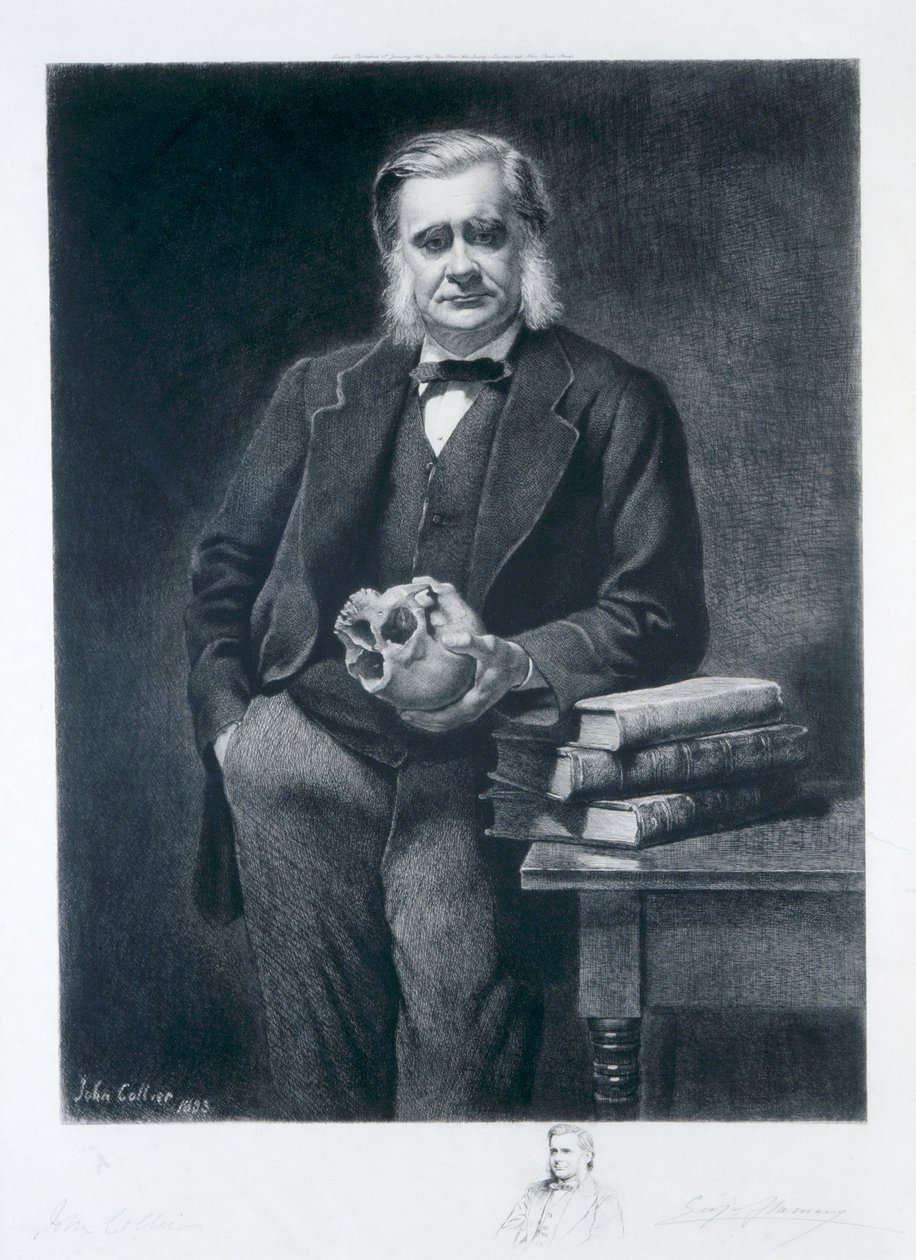 Thomas Henry Huxley, 1893 af Leopold Flameng