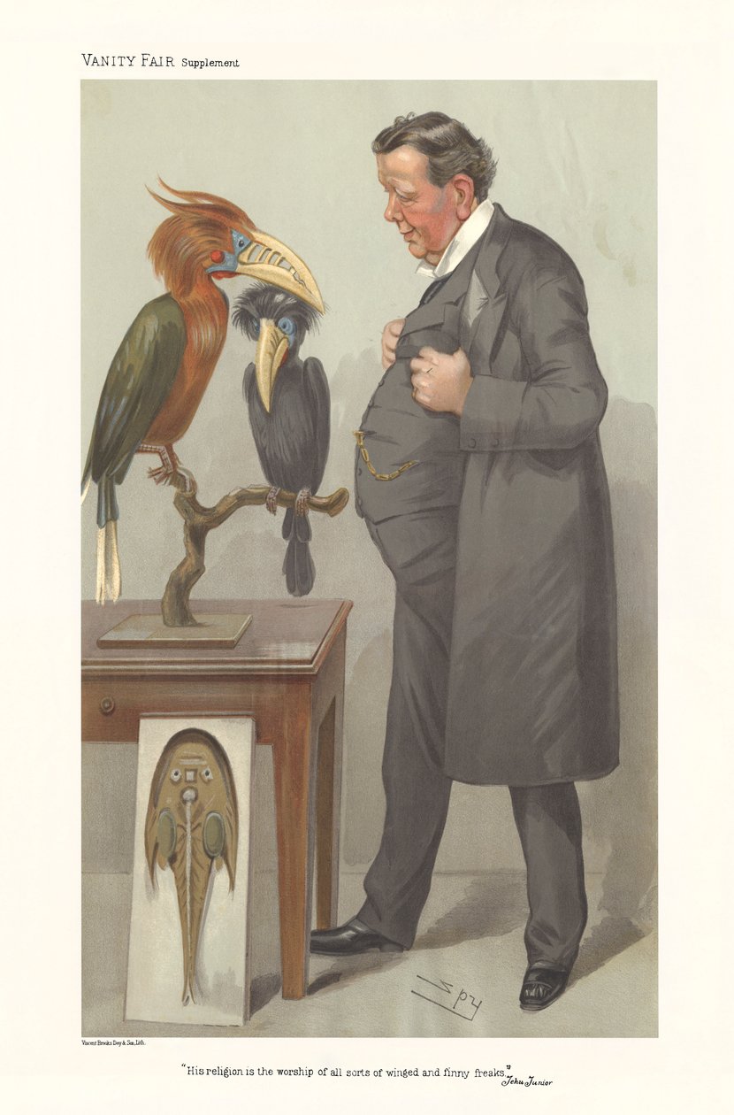 Professor Ray Lankester - portræt, der står og ser på fugle af Leslie Matthew (1851 1922) Ward
