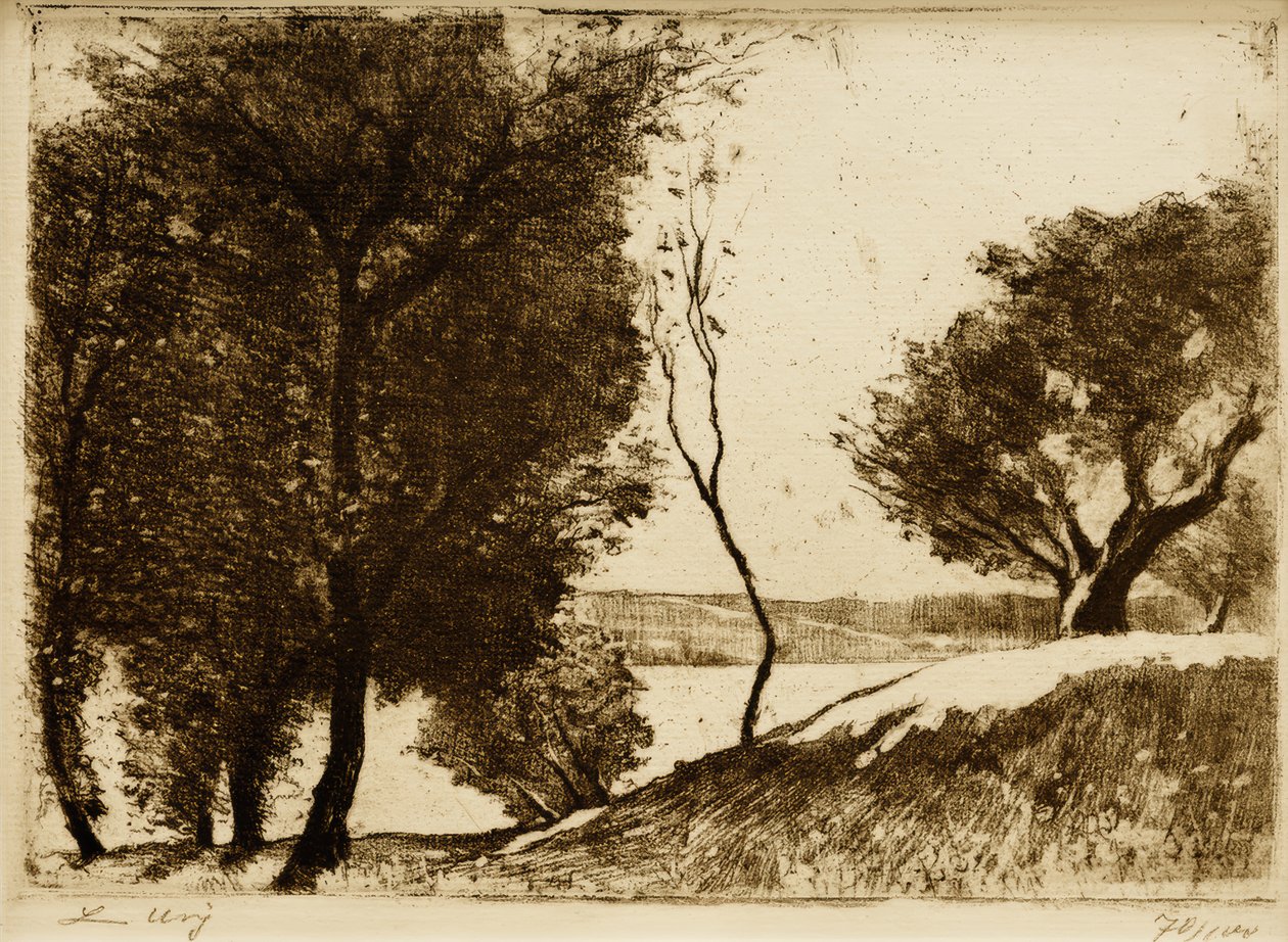 Træet bred ved Brandenburg-søen af Lesser Ury