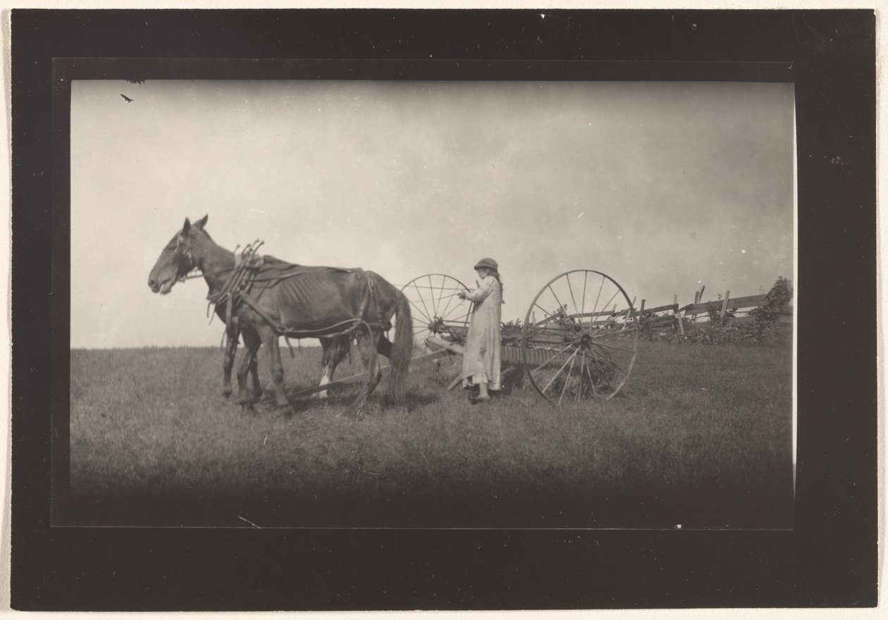 [Farm Scene, Massachusetts] af Lewis W. Hine
