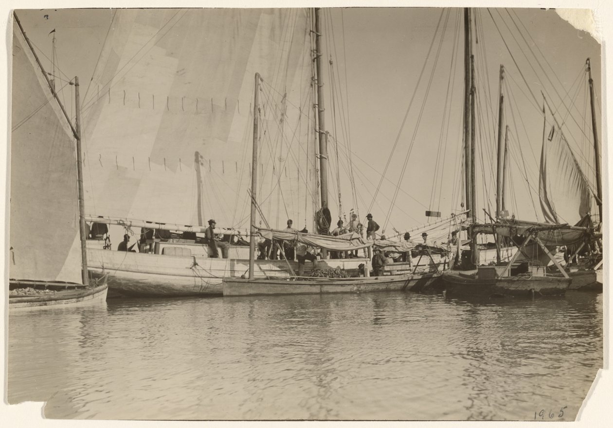 [Østersbåde, Mobile Bay, Alabama] af Lewis W. Hine