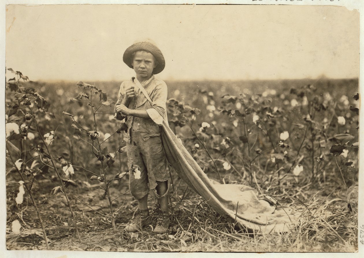 6-årige Warren Frakes med omkring 20 pund bomuld i sin taske i Comanche County, Oklahoma, 1916 af Lewis Wickes Hine