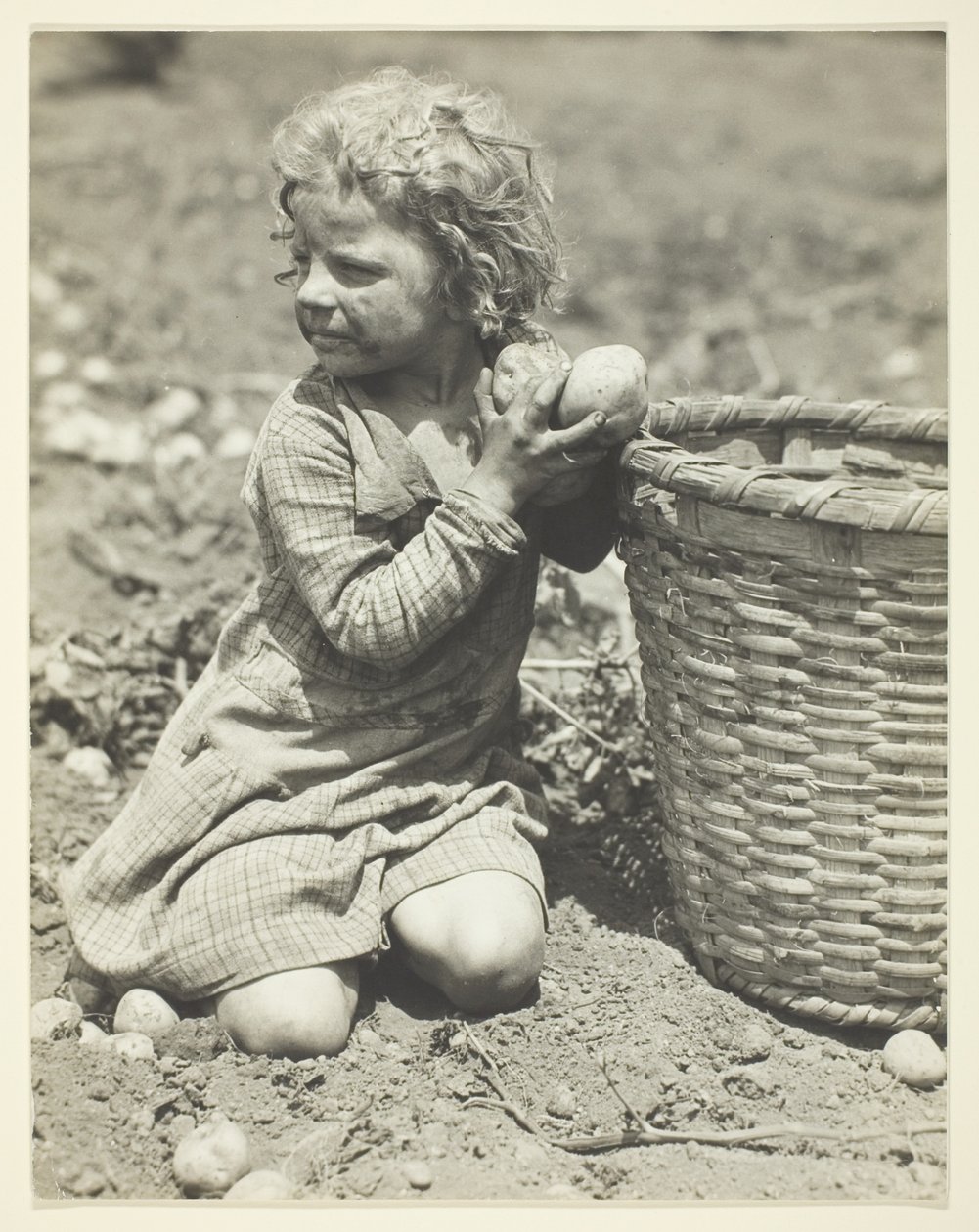 Børnearbejde på gården af Lewis Wickes Hine
