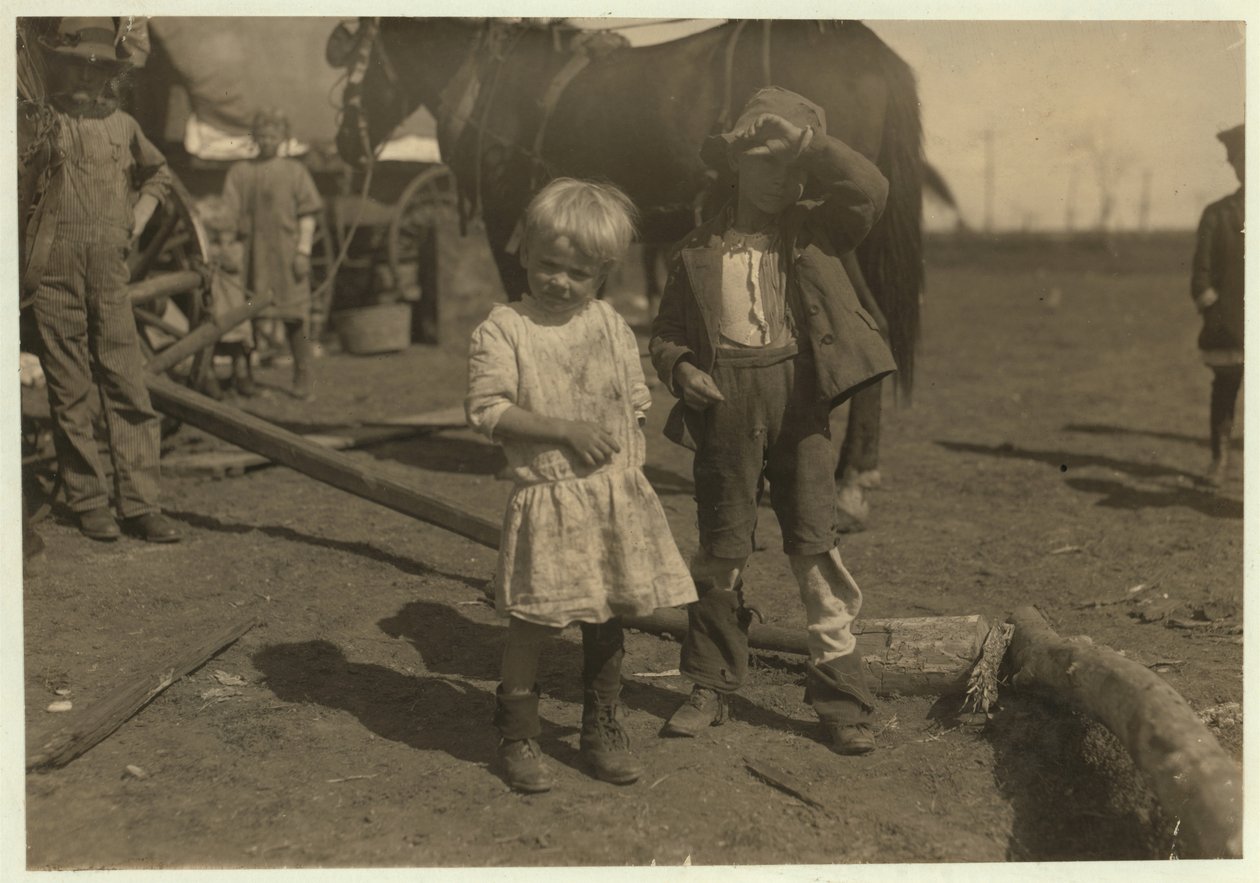 Bomuldsplukker på 4 år, der plukker 15 pund om dagen regelmæssigt og 7-årig, der plukker 50. De flytter fra gård til gård og bor i emigrantvogne, McKinney, Texas, 1913 af Lewis Wickes Hine