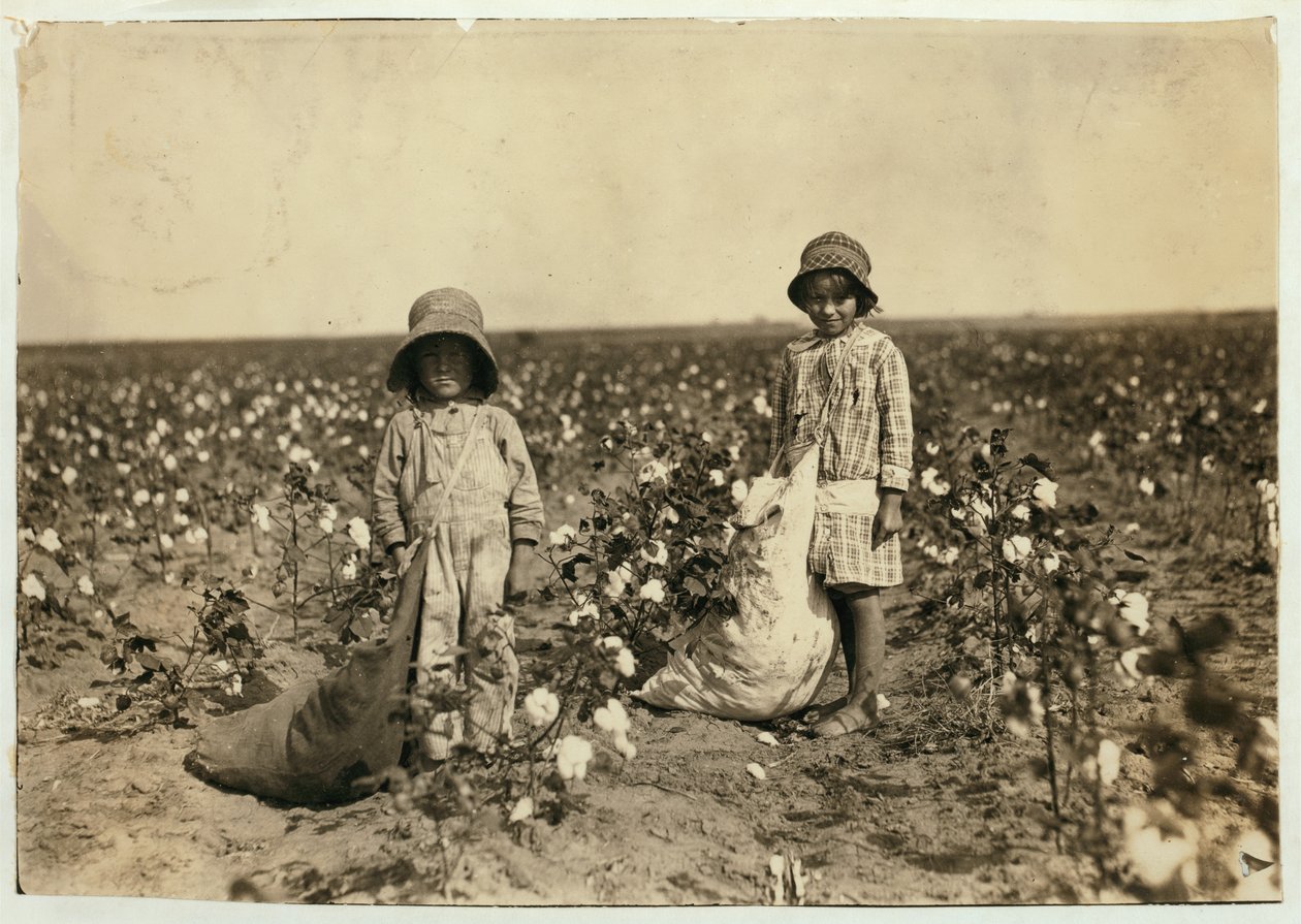 Jewel og Harold Walker, 6 og 5 år gamle, vælger 20 til 25 pund bomuld om dagen i Geronimo, Comanche County Oklahoma, 1916 af Lewis Wickes Hine