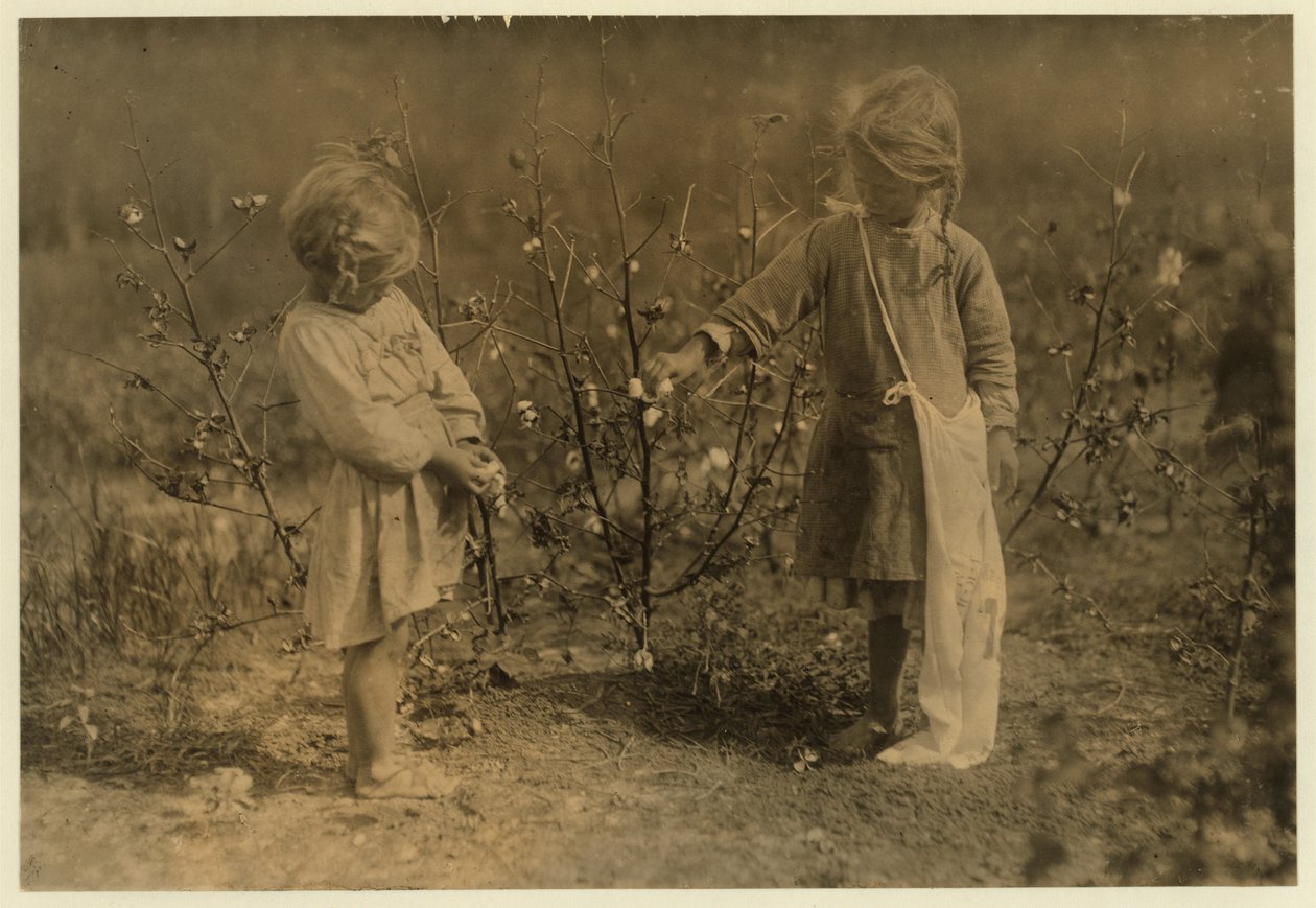 Millie på 4 år vælger 8 pund bomuld om dagen og Nellie 5 vælger 30 på en gård nær Houston, Texas, 1913 af Lewis Wickes Hine