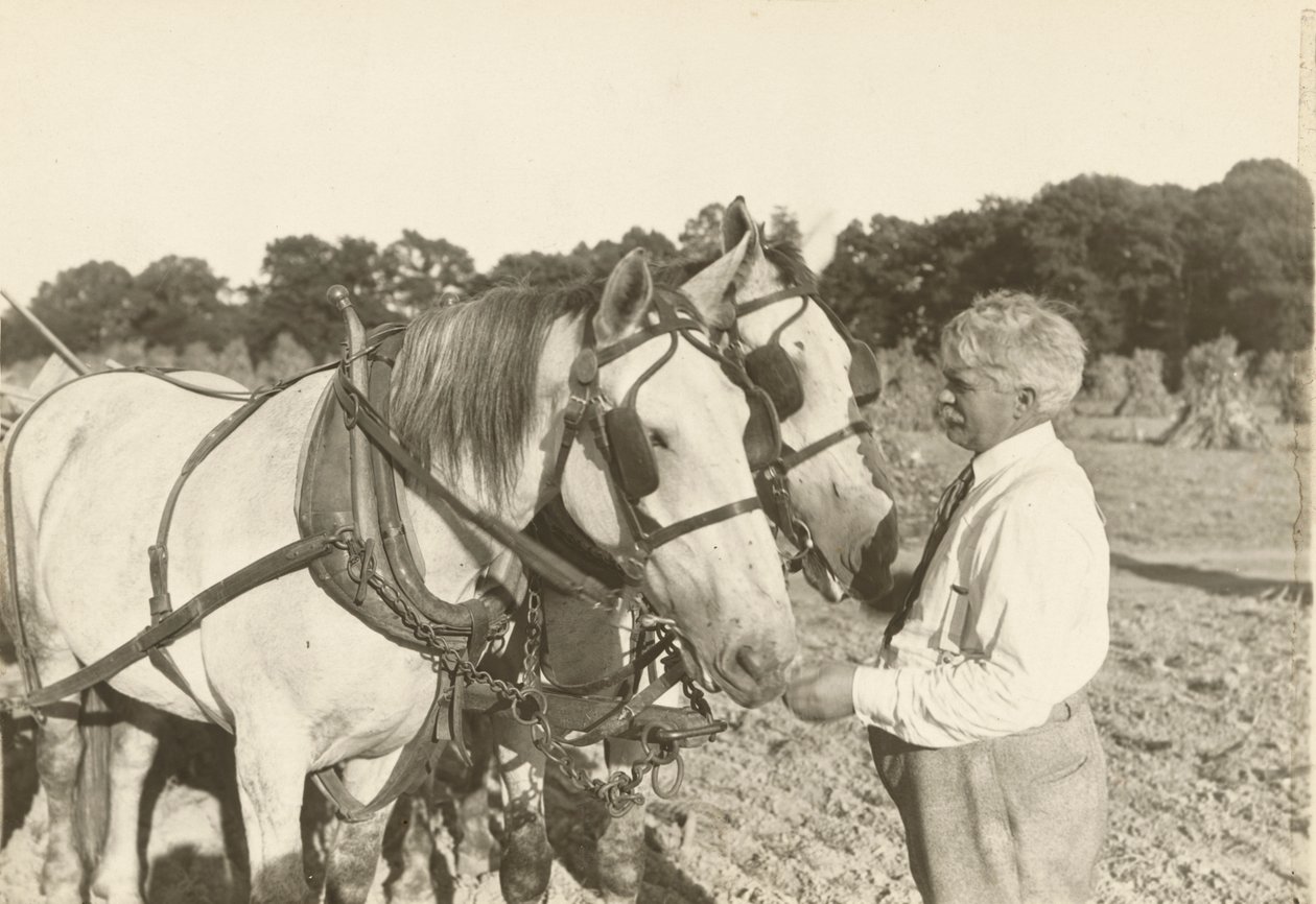 Uden titel, ca. 1935. af Lewis Wickes Hine