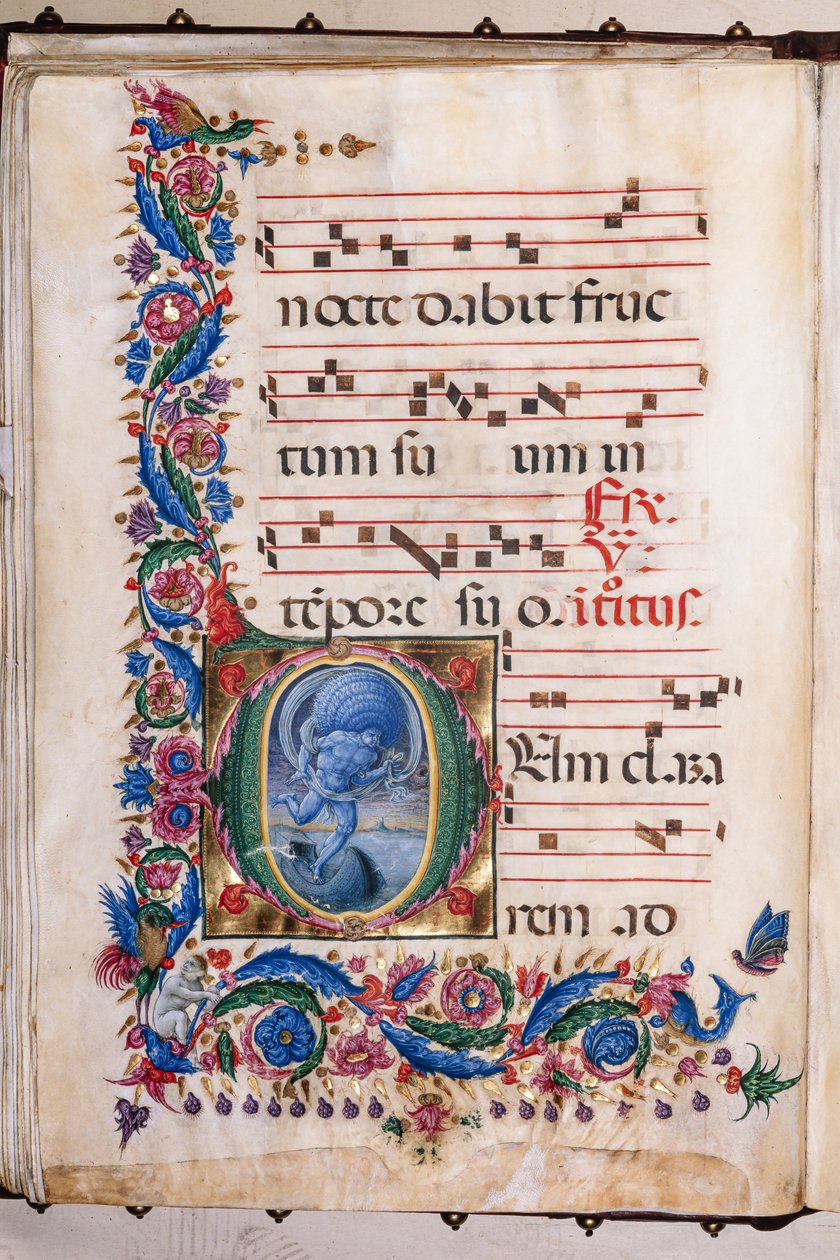 Piccolomini Bibliotek: korbog, torsk. 20.5, ff. 36v med "Aeolus", af Liberale da Verona (ca. 1445 - 1527/9). af Liberale da Verona