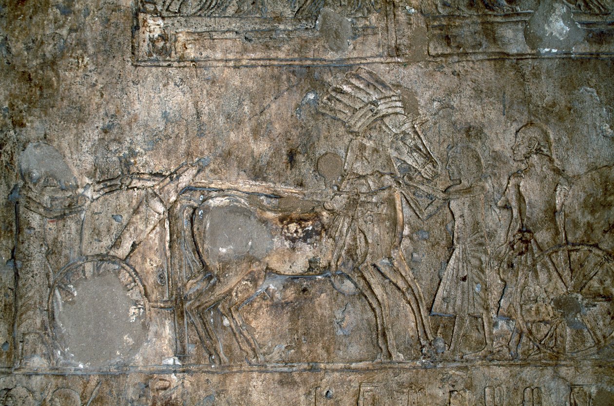 Basrelief med vogn, Necropolis of Tell el-Amarna, Egypten, Egyptisk civilisation, New Kingdom, Dynasti XVIII af Unbekannt Unbekannt