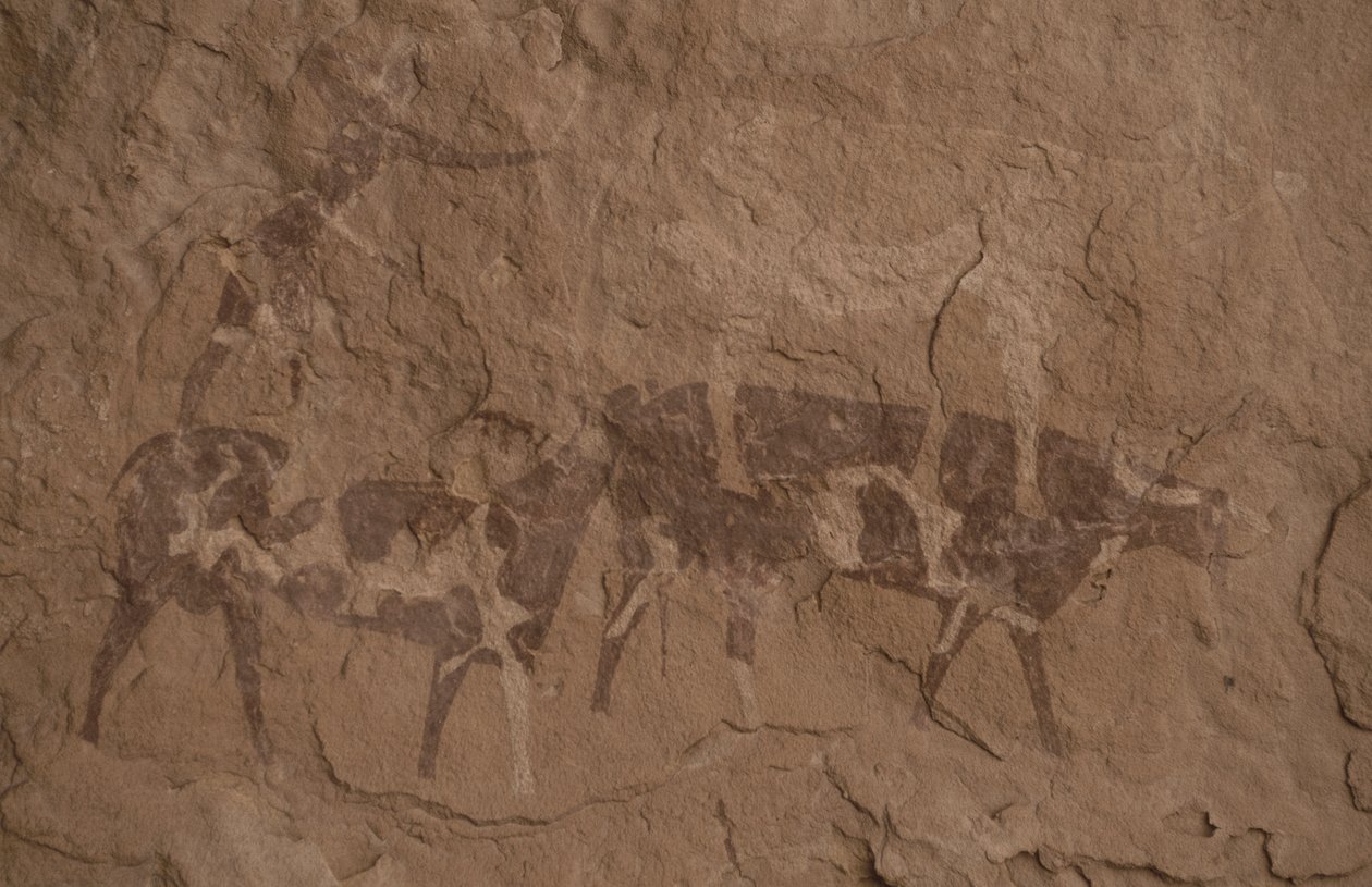 Kvæg og menneskelige figurer, Hulemaleri, Oued i Djeran, Nær Djanet, Tassili n