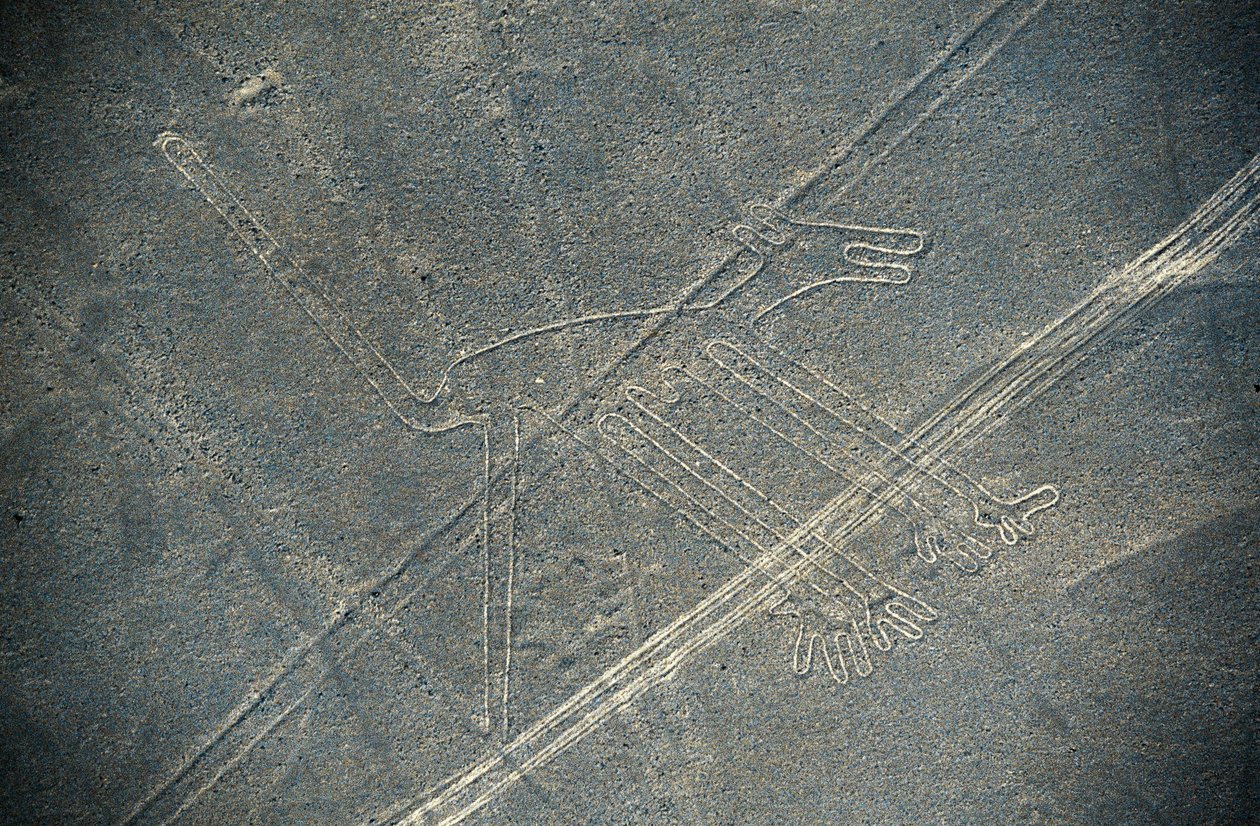 Hund, Nazca linjer, Nazca, Peru, Nazca Civilization (foto) af Unbekannt Unbekannt
