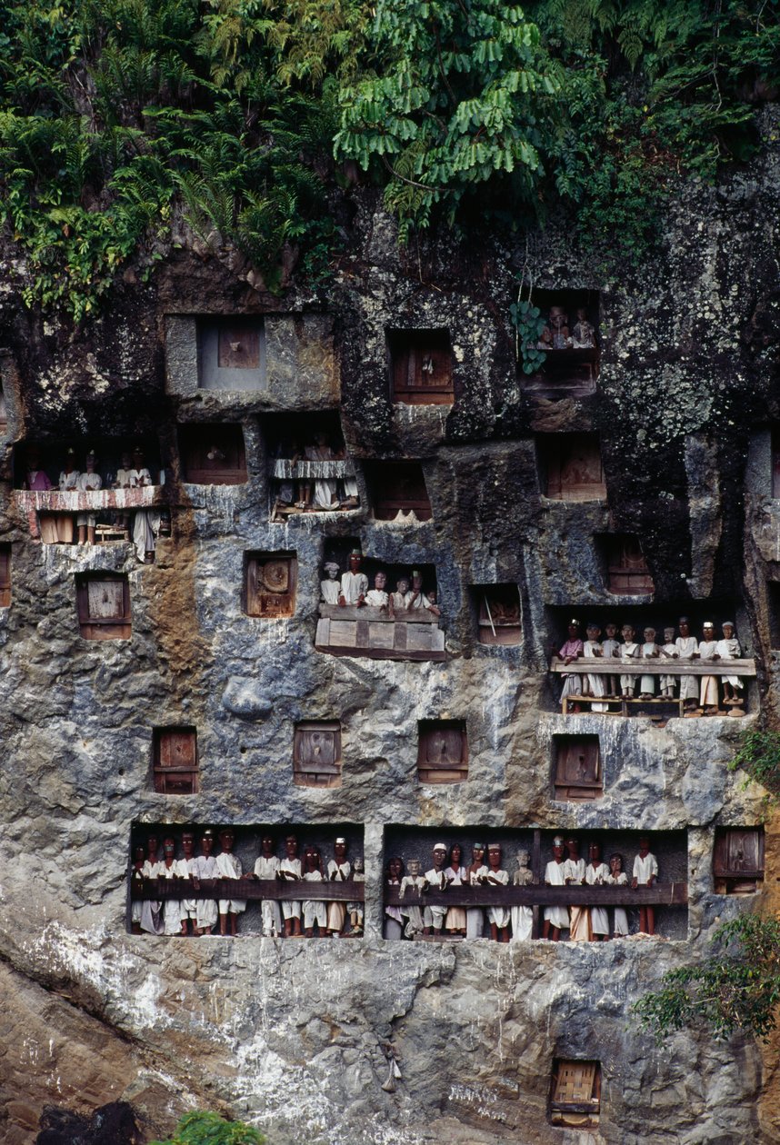 Begravelsesnicher med Tau Tau lighusfigurer, landsbyen Lemo, Tana Toraja, øen Sulawesi, Indonesien. af Unbekannt Unbekannt